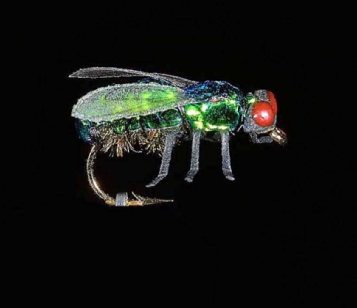 Jmc Insectes Realistes - casapintat - DE CHARETTE MOUCHES