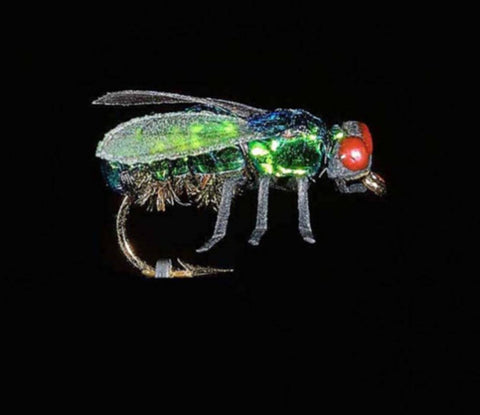 Jmc Insectes Realistes - casapintat - DE CHARETTE MOUCHES