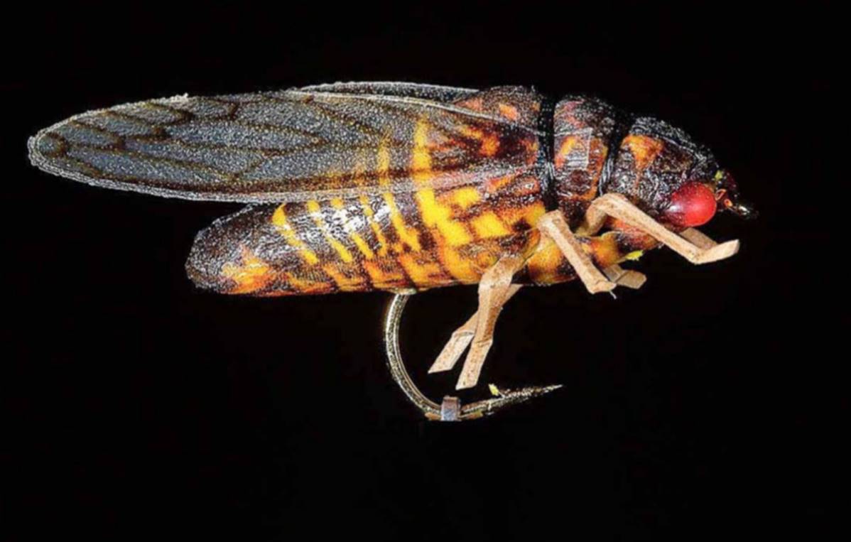 Jmc Insectes Realistes - casapintat - DE CHARETTE MOUCHES