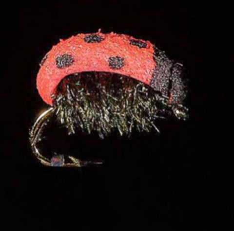 Jmc Insectes Realistes - casapintat - DE CHARETTE MOUCHES