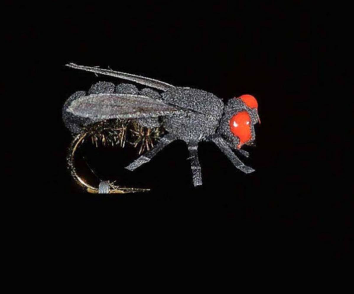 Jmc Insectes Realistes - casapintat - DE CHARETTE MOUCHES