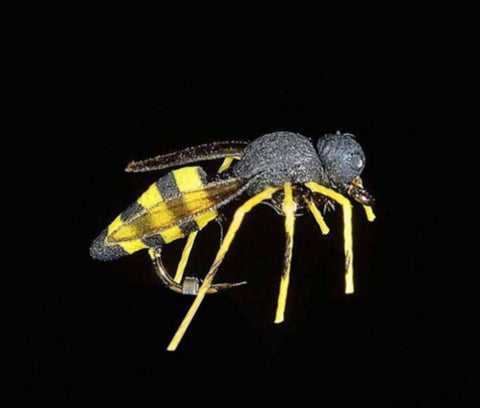 Jmc Insectes Realistes - casapintat - DE CHARETTE MOUCHES