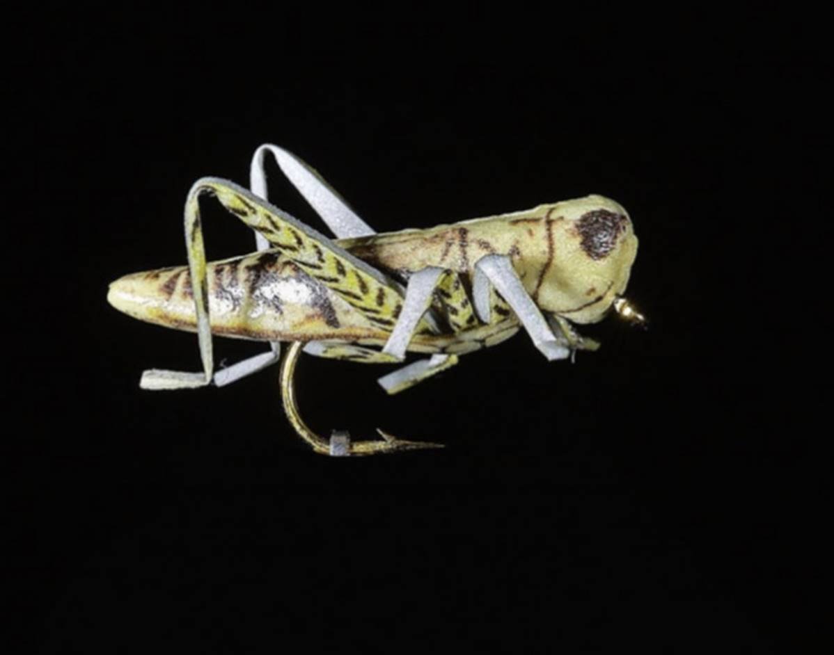 Jmc Insectes Realistes Sauterelle - casapintat - DE CHARETTE MOUCHES