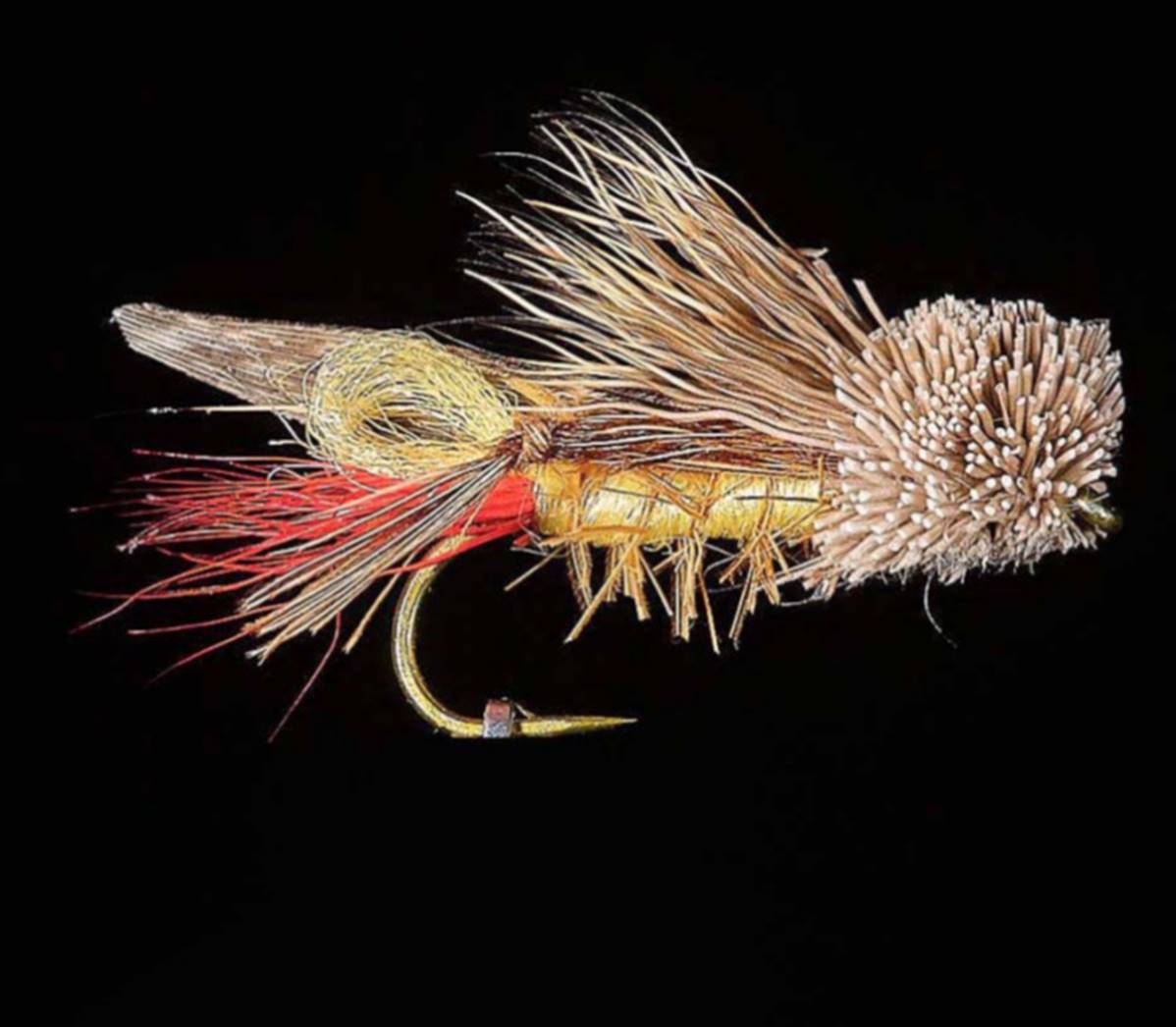 Jmc Insectes Realistes Sauterelle - casapintat - DE CHARETTE MOUCHES