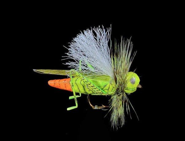 Jmc Insectes Realistes Sauterelle - casapintat - DE CHARETTE MOUCHES