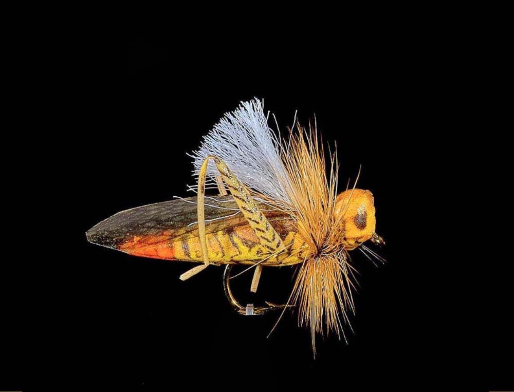Jmc Insectes Realistes Sauterelle - casapintat - DE CHARETTE MOUCHES