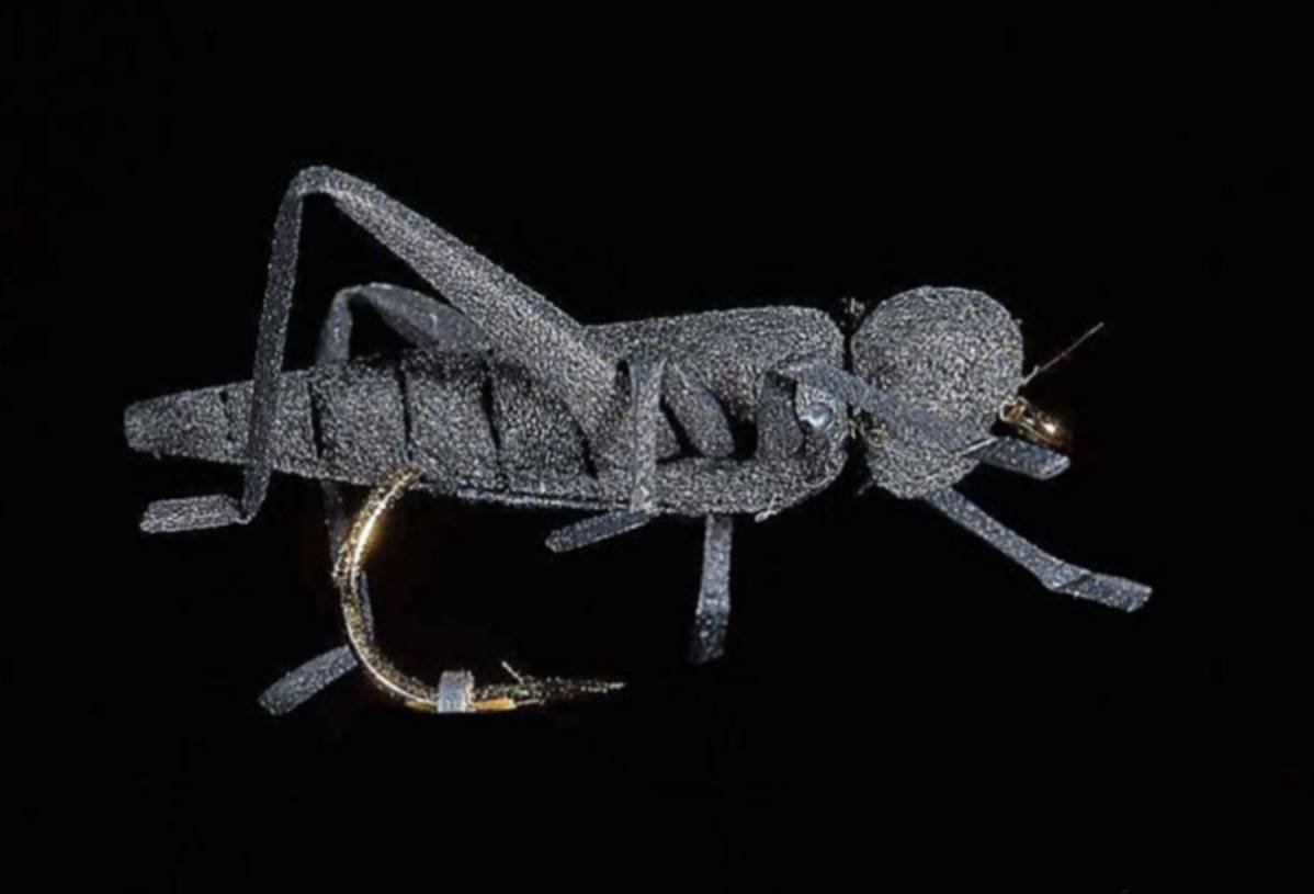 Jmc Insectes Realistes Sauterelle - casapintat - DE CHARETTE MOUCHES
