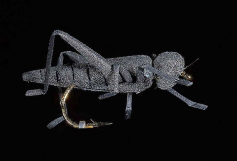 Jmc Insectes Realistes Sauterelle - casapintat - DE CHARETTE MOUCHES